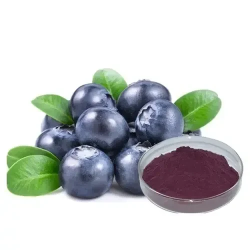 Bilberry extract